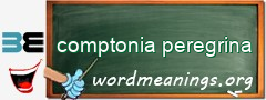 WordMeaning blackboard for comptonia peregrina